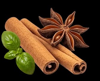Cinnamon sticks, star anise and basil
