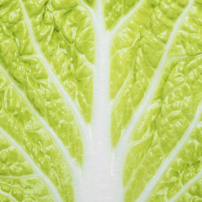 Fresh green leaf